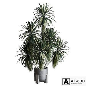 palm plant in concrete dirt vase - Indoor plant 275