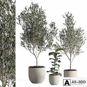 indoor plant set 43