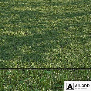 grass set04