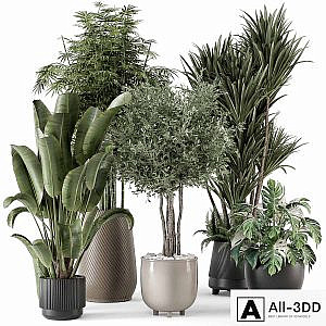 Indoor Plants in Ferm Living Bau Pot Large - Set 1325