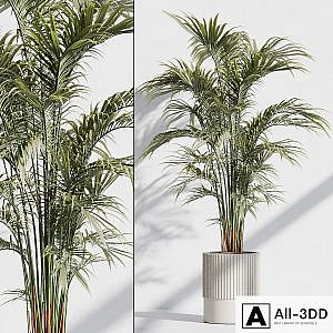 indoor plant set 76