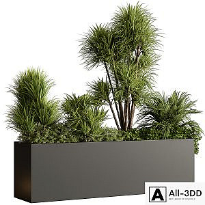 Plant Box - Outdoor Plants 580