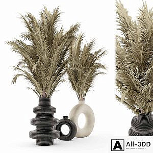 Collection Dry Bouquet Plants Pots - Set 1876