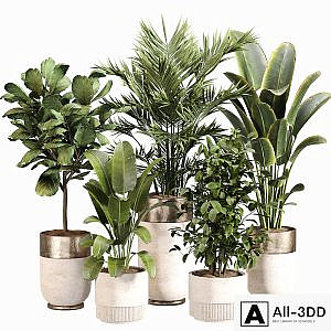 Indoor Plant Set 052