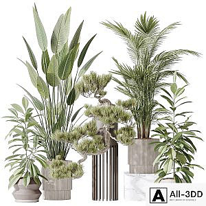 Indoor plant set 31