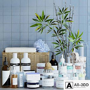 A set of cosmetics for the bathroom