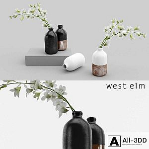 Westelm vases with Orchids