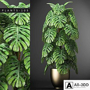 PLANTS 105