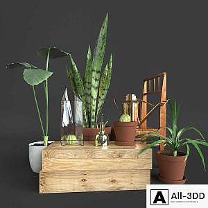 Set of decor with flowers