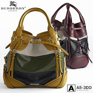 Burberry Whipstitch Bag