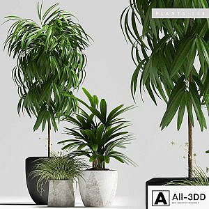 PLANTS 134