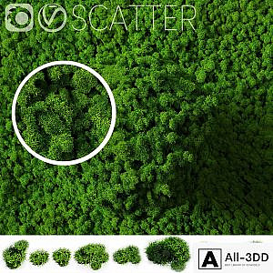 stabilized moss for scatter