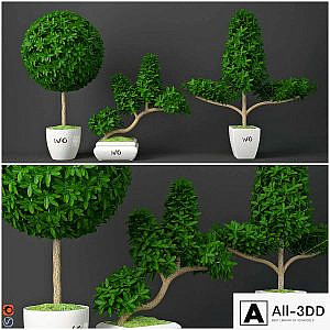 Houseplant 15