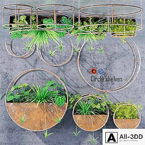 Circle shelves