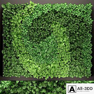 Vertical garden 14. vertical garden, green wall, phytomodule, eco design, picture of flowers, plants on the wall