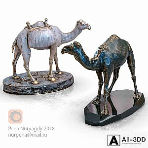 Camel, Camel
