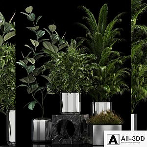 Plants collection 106