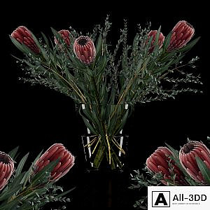 Protea & Eucalyptus parvifolia