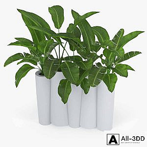 BAMBOO by Slide banana