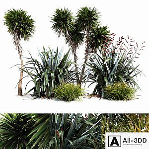 Oceania plant set