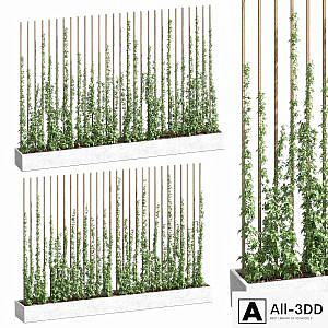 Ivy partition