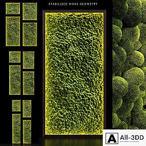 Mosswalls 2