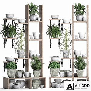 Plant Collection 365. Shelf with plants, aloe, flowerpot, greenery, vertical garden, concrete, eco design
