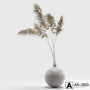 Vase with dried flowers 0002
