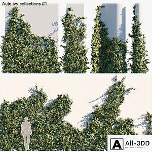 Auto ivy collections # 1