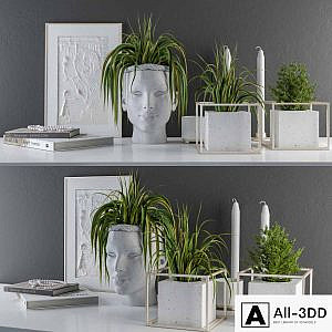 Decorative Set Sculpt Pot and Plants