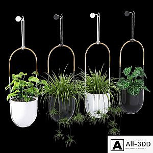 Bolo planter