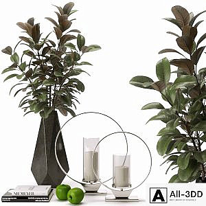 decorative set with accessories from Z Gallerie