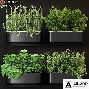 Plants collection 262