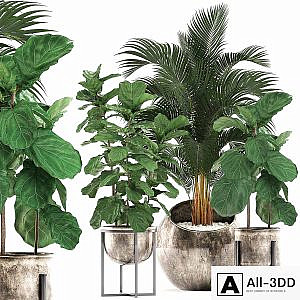 Collection of plants in stylish modern pots with round flowerpot with Palm, Ficus lyrata, pot, luxury. Set 474.