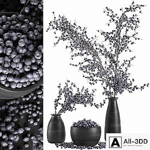 A collection of bouquets of branches with blueberries in black vases with blueberries, a bowl with berries, natural decor. Set 549.