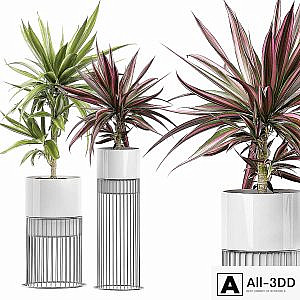 INTERIOR FLOWER PACK 51