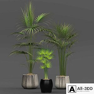 Collection of plants 01