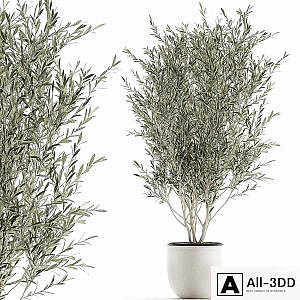 A beautiful little decorative olive tree in a white pot with handles. Set 645.