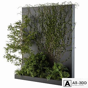 Outdoor Green Wall with Garden ivy