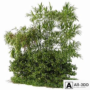 Garden set tropical and bush