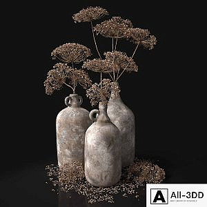 Jugs with dry dill stalks