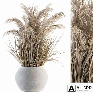 indoor Plant Set 115 - Dried Plant