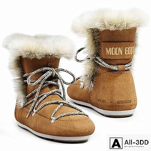 Moon Boot