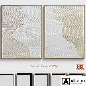 Framed Canvas C-134