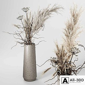 Dried Plants Bouquet in Vase