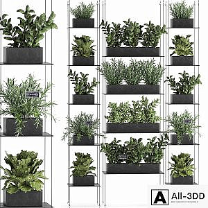 Vertical gardening home garden kitchen garden, shelf suspension with plants, phytosten, phytomodule. Set 63.