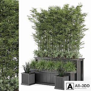 Outdoor Plants Bamboo and bush in Wooden Pot -Set 195