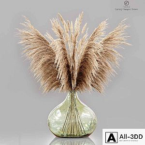 Luxury pampas grass