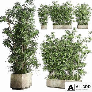 Collection Outdoor plant 49 concrete dirt old vase bax pot tree fern bamboo