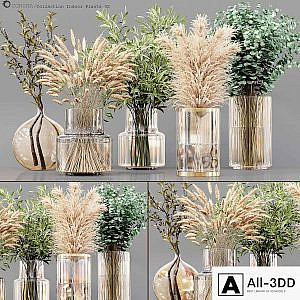 Collection Indoor Plants 02